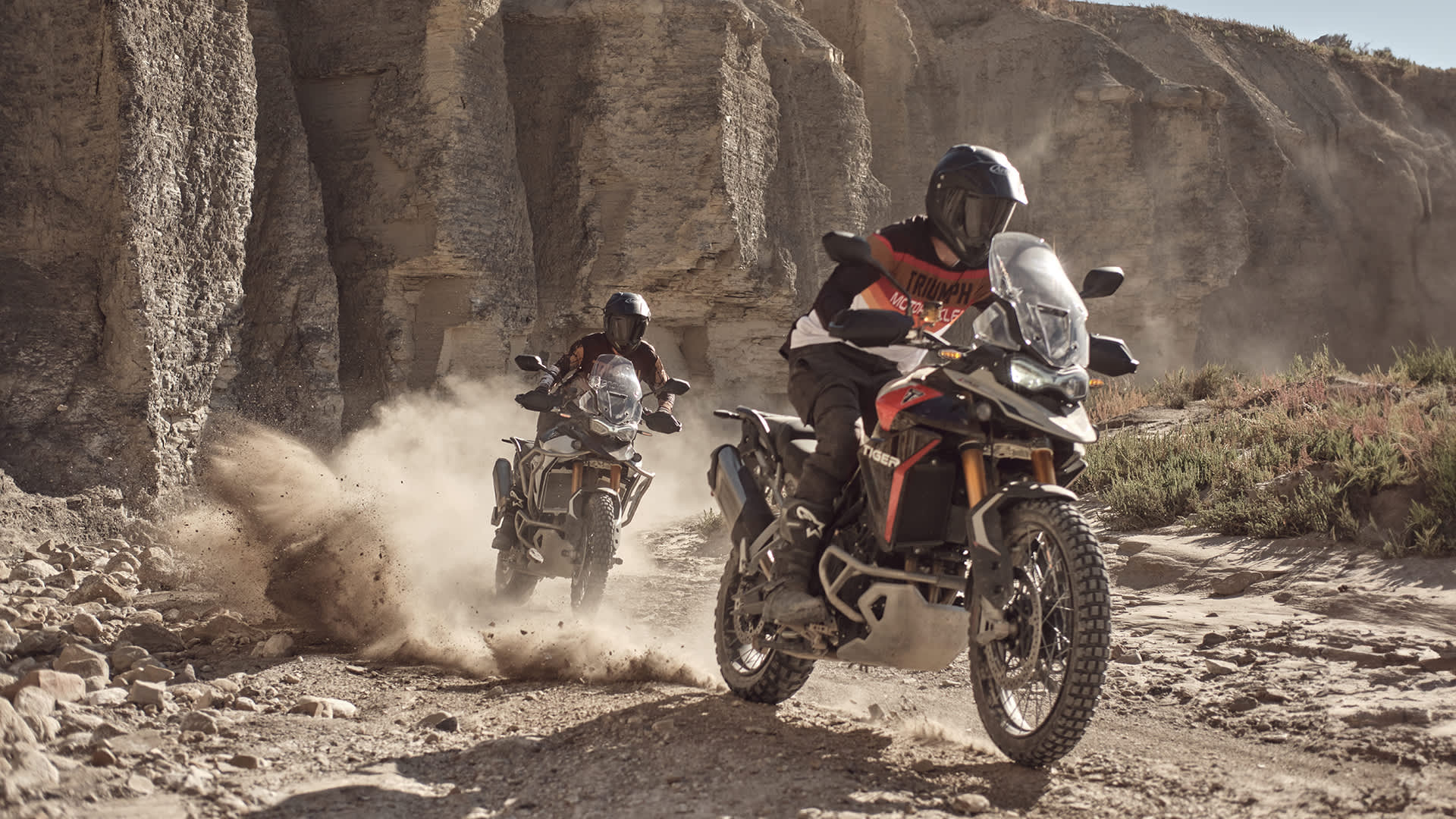 Triumph tiger 900 adventure store